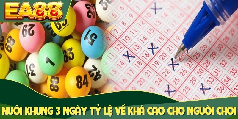 Nuôi khung 3 ngày tỷ lệ về khá cao cho người chơi Nuôi khung 3 ngày tỷ lệ về khá cao cho người chơi