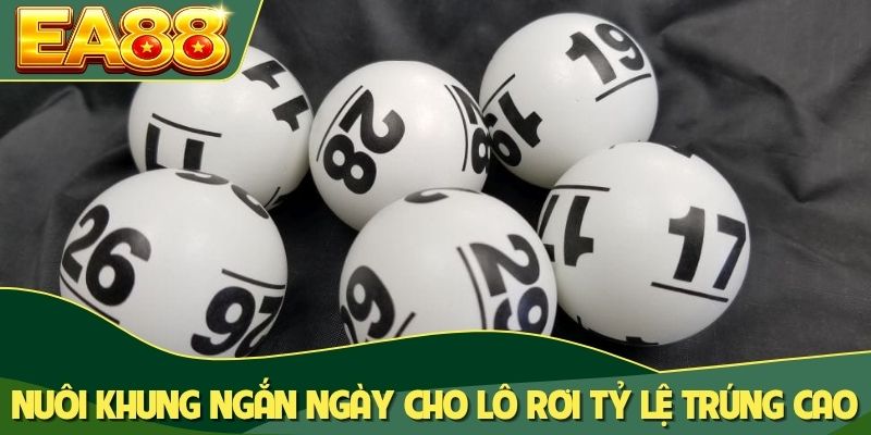 Nuôi khung ngắn ngày cho lô rơi tỷ lệ trúng cao Nuôi khung ngắn ngày cho lô rơi tỷ lệ trúng cao