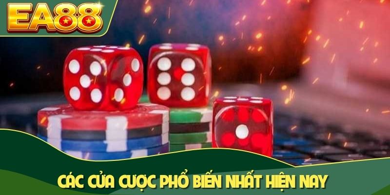 Sicbo Là Gì? Lịch Sử Và Điểm Lôi Cuốn Của Trò Đổ Xí Ngầu 3 Các cửa cược phổ biến nhất hiện nay