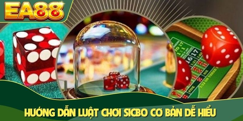 Sicbo Là Gì? Lịch Sử Và Điểm Lôi Cuốn Của Trò Đổ Xí Ngầu 2 Hướng dẫn luật chơi Sicbo cơ bản dễ hiểu