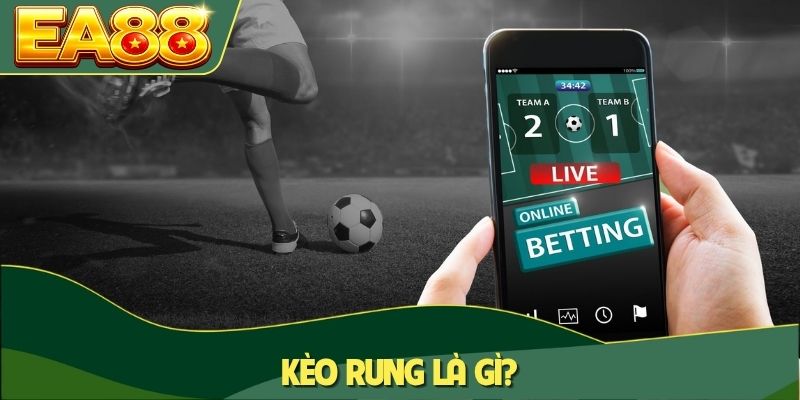 Kèo Rung Là Gì? Toàn Bộ Kiến Thức Cần Biết Khi Cá Cược 2 Kèo rung là gì