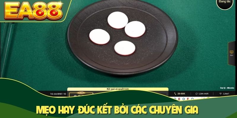 Mẹo hay đúc kết bởi các chuyên gia